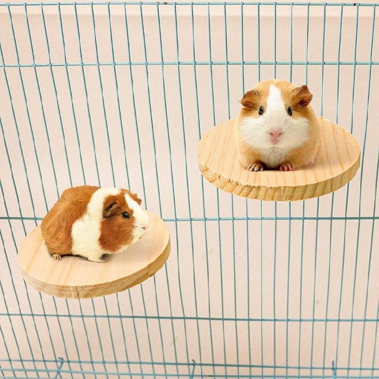 Hamster Platform For Cage Hamster Playground  Hamster Wooden Platform And Stairs