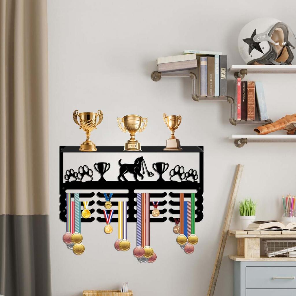 Wall Mounted Display Rack with Hooks, Award Holder for Wall Decoration