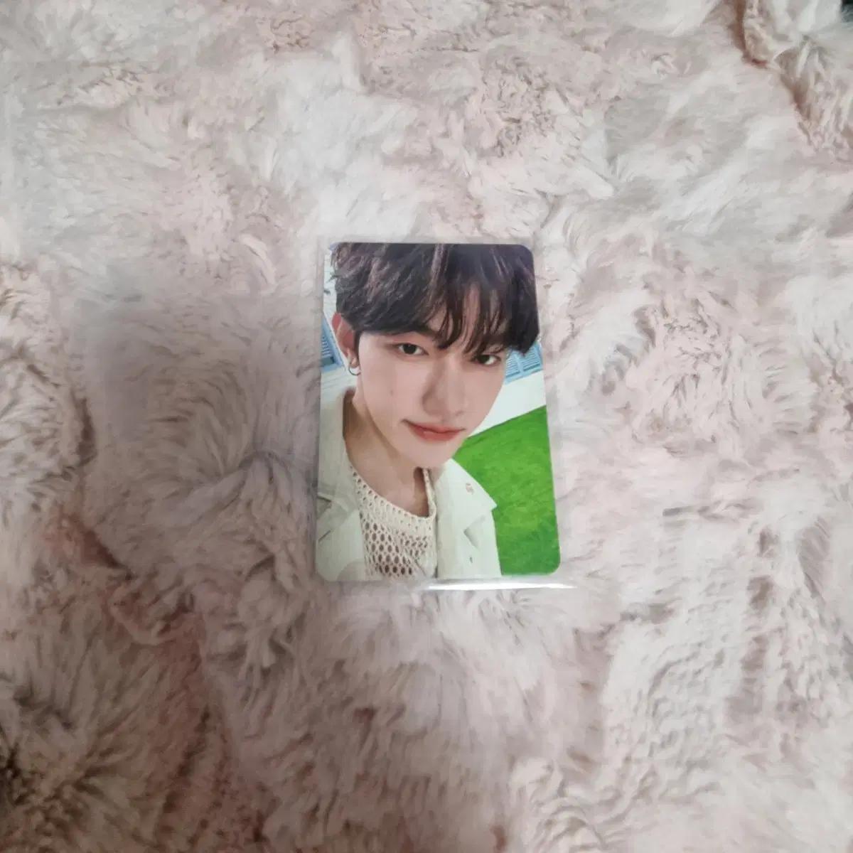

Jebeewon Zhang Hao Withmuu Photocard