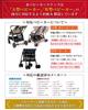 Rozally [Supervised by Childcare Workers] Stroller Step, Buggy with Saddle, Double Seat, Black (Old Model)
