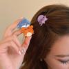 Accessori per capelli – Fermagli per capelli
