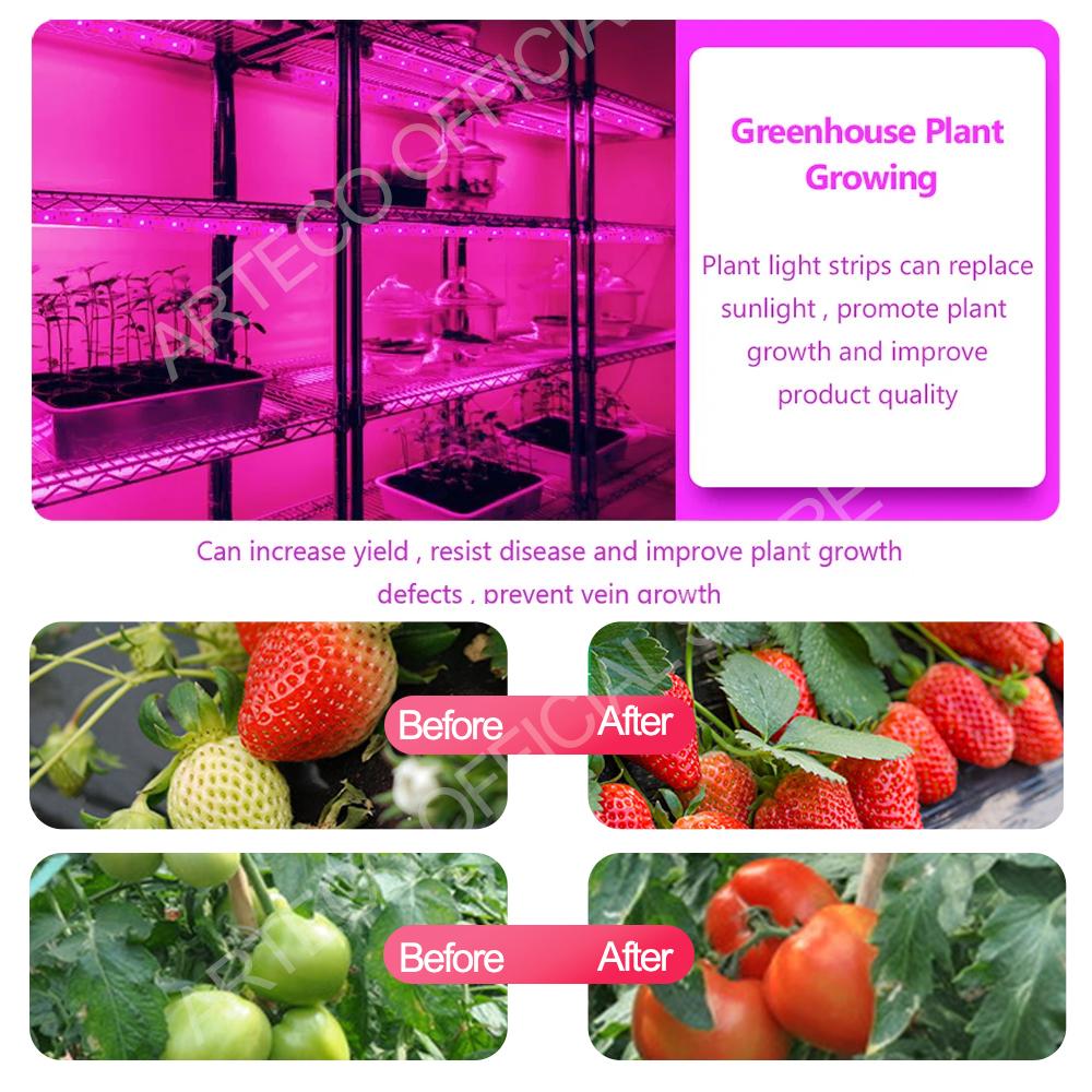 LED Grow Light Full Spectrum Phytolamp USB Plant Light Strip 1m 2m 3m 5m Phyto Lamp for Plant Flower Greenhouse Tent Hydroponics