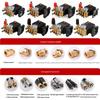 High-Pressure Ceramic Plunger Pump Head Assembly for Car Wash & Farm Use