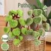 Decorațiuni pentru casă – Flori decorative şi coroane de flori