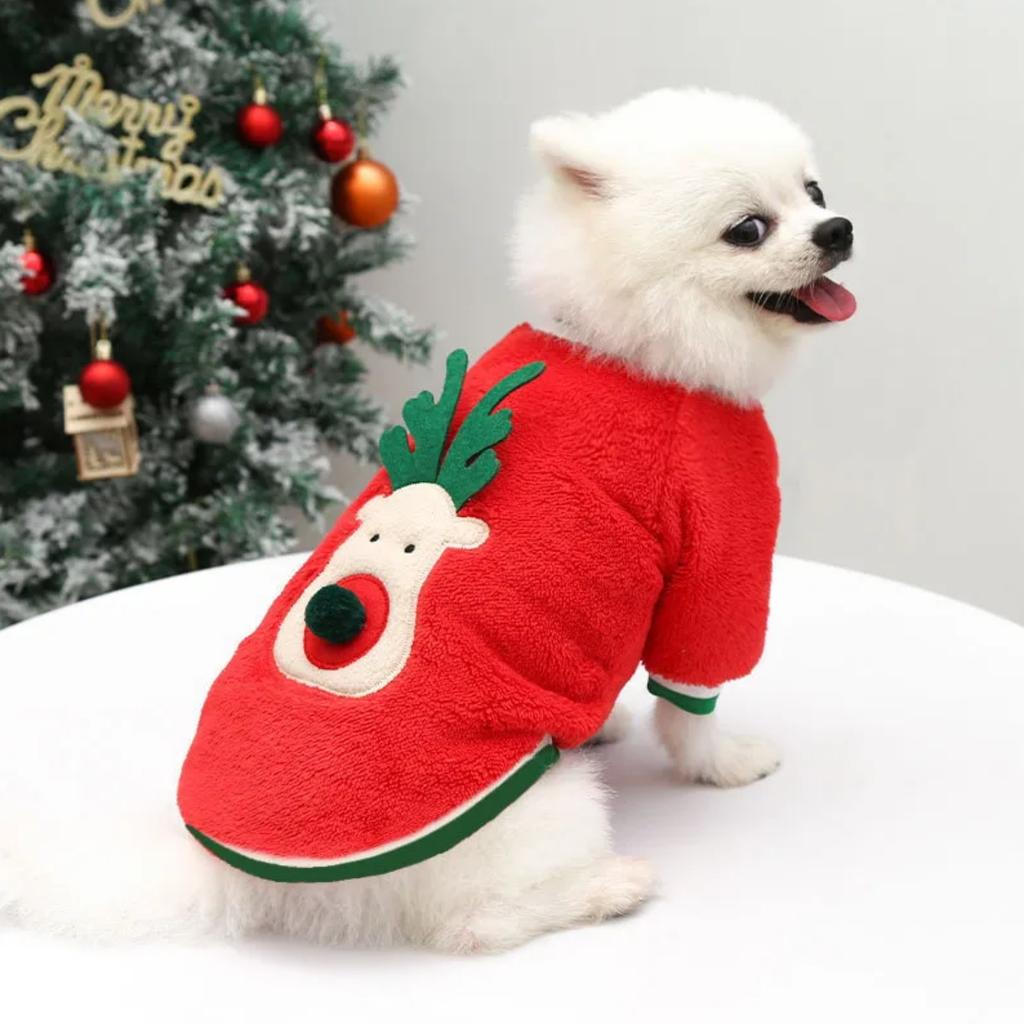 Winter clothes for dogs, Christmas sweater for winter, dog outfit XXL PetJet