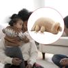 Tardigrade Plush Cute Stuffed Water Bear Dolls, Lifelike Sea Creatures Cute Stuffed Water Bear Dolls Kids Birthday Gifts