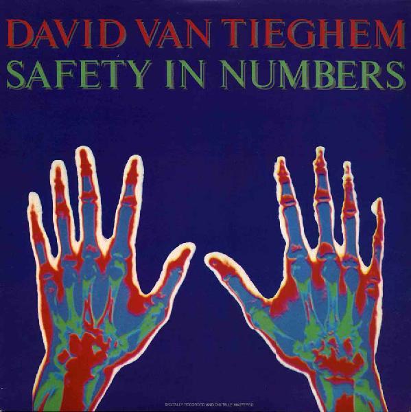 

LP Record DAVID VAN TIEGHEM Safety In Numbers 20151 Private Music 1987 US Dance Electronica Used