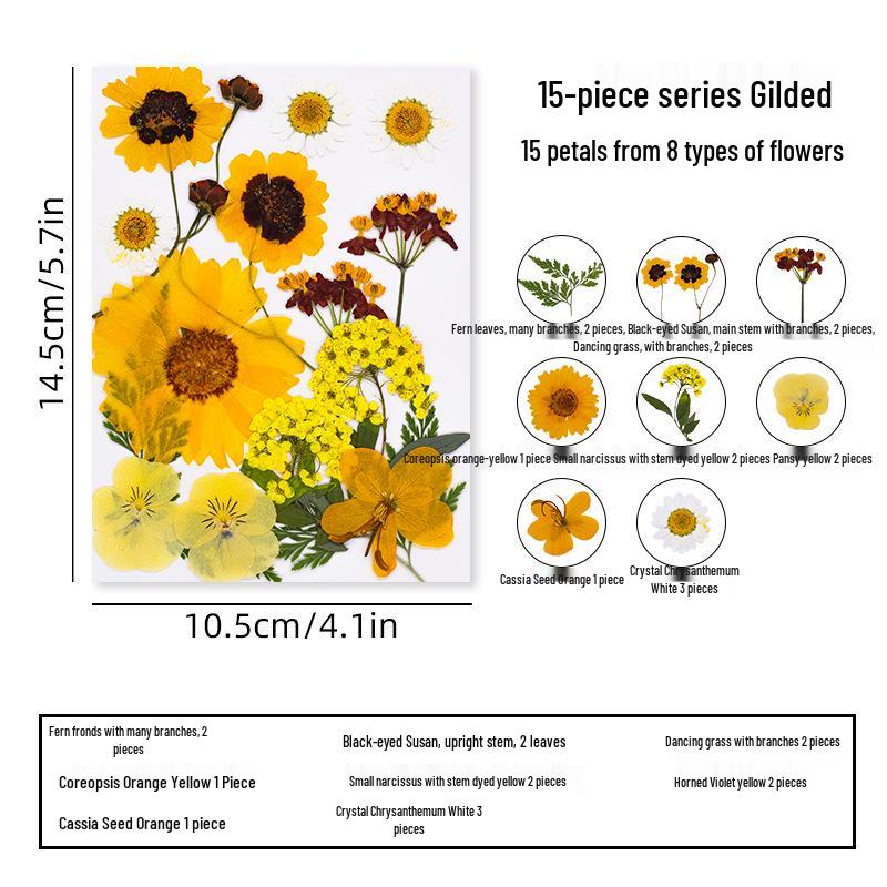 DIY Dried Flower Specimen Sticker Set for Kids: Handmade Pressed Flower Frames & Resin Bookmark Craft Kit