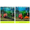 Oxygenating Bubble Bar for Aquarium: Soft Air Hose & Aerating Strip