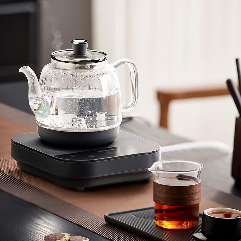Bear 0.8L Automatic Electric Tea Maker CN plug (adapter included)