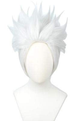 Linfairy Cosplay Wig, Heat Resistant, Costume Accessory, L55, Silver