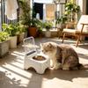 Cat Bowls Non-Slip Dustproof Feeding Station Cat Food Dish for Kitten Pet Indoor Outdoor Living Room Kitchen Home Daily