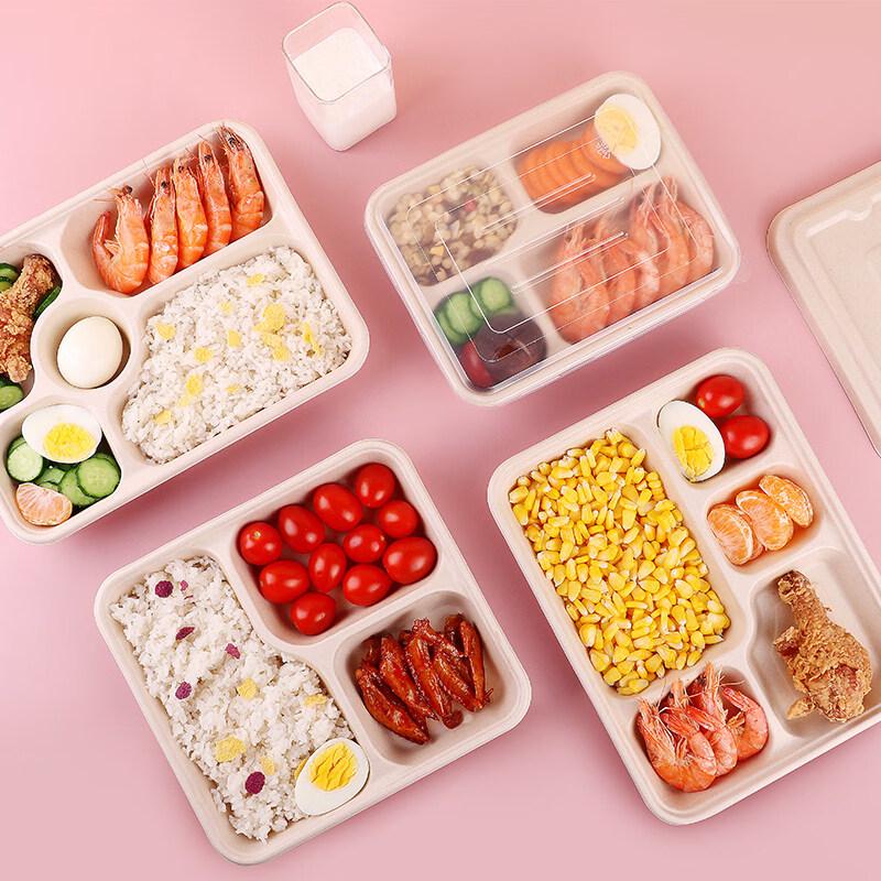 ZISIZ Disposable Food Container