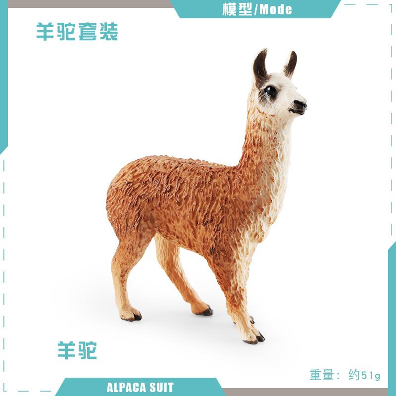 Wild Animal Alpaca Miniatures Solid Simulation Model Figures Home Decor Zoo Education Toy Collection Ornaments Kids Gifts
