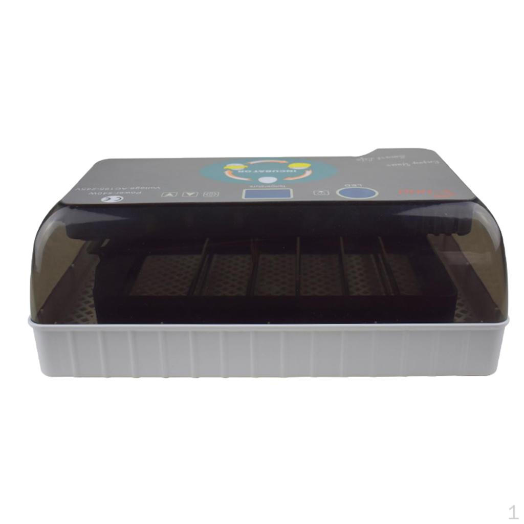 12 Grids Reptiles Eggs Incubator Tray - Transparent Incubation Box For Snake, Lizard, Turtle Eggs, Reptile Breeding Supplies