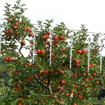 10Pcs Reflective Spiral Rods Bird Deterrent Vibrant Color Sparkling Widely Used Portable Outdoor Bird Repellent Sticks Bird Scarer Device