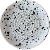 Grattugia per Zenzero in Ceramica Piatto Rotondo Grattugia per Aglio Strumento per Tritare Verdura Frutta per Cucina Spremiaglio Zenzero Manuale