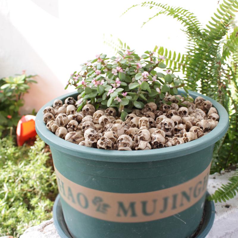 Skull Simulation Medium Set: Creative Flower Pot & Micro Landscape Paving Stone Ornaments.