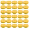 30Pcs Planted Sponges Foam Cloner Fits Net Pots For DIY Cloner Plant Germination For DIY Cloner Plant Germination