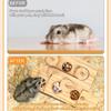 Wooden Hamster Feeder Foraging Station Snack Dispenser Interactive Pet Toy Natural Wood Animal Enrichment Activity Chew Toy