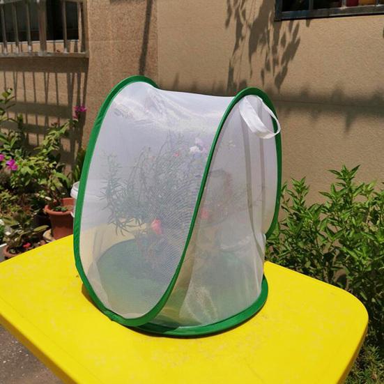 Insect Cage Foldable Easy To Carry Green Insect Mesh Cage Terrarium for Garden