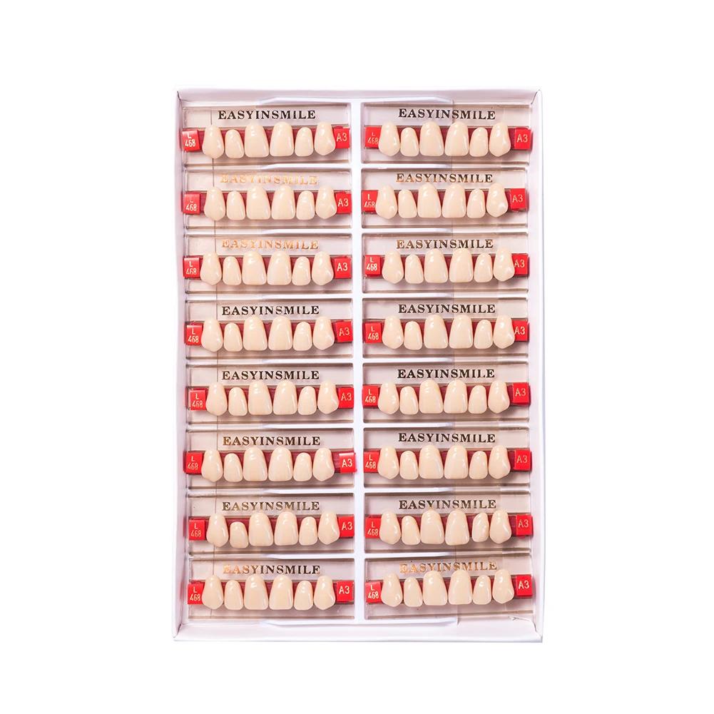 16/12 Sätze/Karton Zahnprothese Zähne Oberkiefer Frontzähne Unterkiefer Seitenzähne Dentier Synthetisches Polymerzähne Zahnmedizinische Ausbildungsmodell