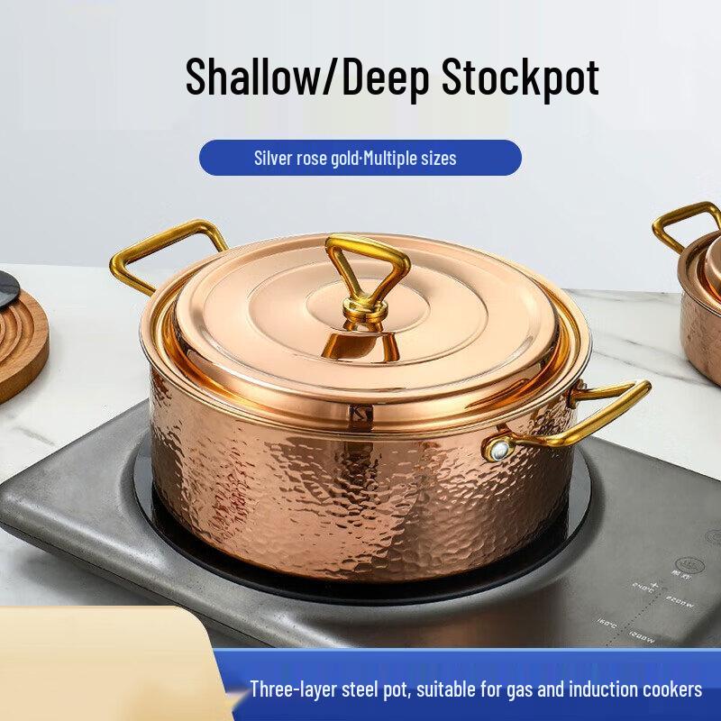 Danshizhiyuan 201 Stainless Steel Induction Hot Pot & Soup Pot