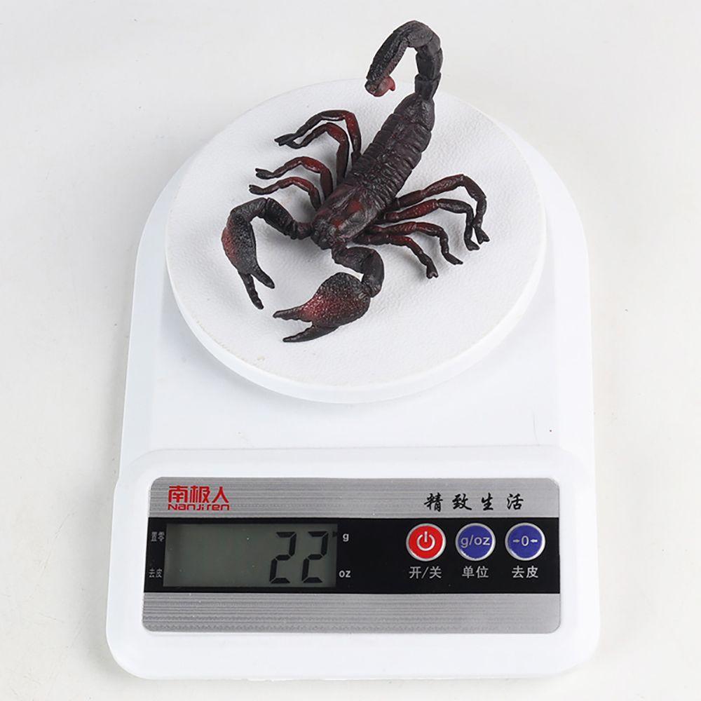 Science Nature Educational Toy Halloween Supplies Scorpion Model Insect Figurine Kids Cognition