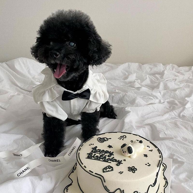 

Ins Black Plaid Puppy Dog Shirt Princess Style Dress Teddy Pomeranian Small and Medium Dog Cat Pet Clothes XL (recommended weight 11-7.5kg)