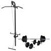 VidaXL Wall-mounted Weight Training Tower with Dumbbell Set and Weights 60.5 Kg 275357