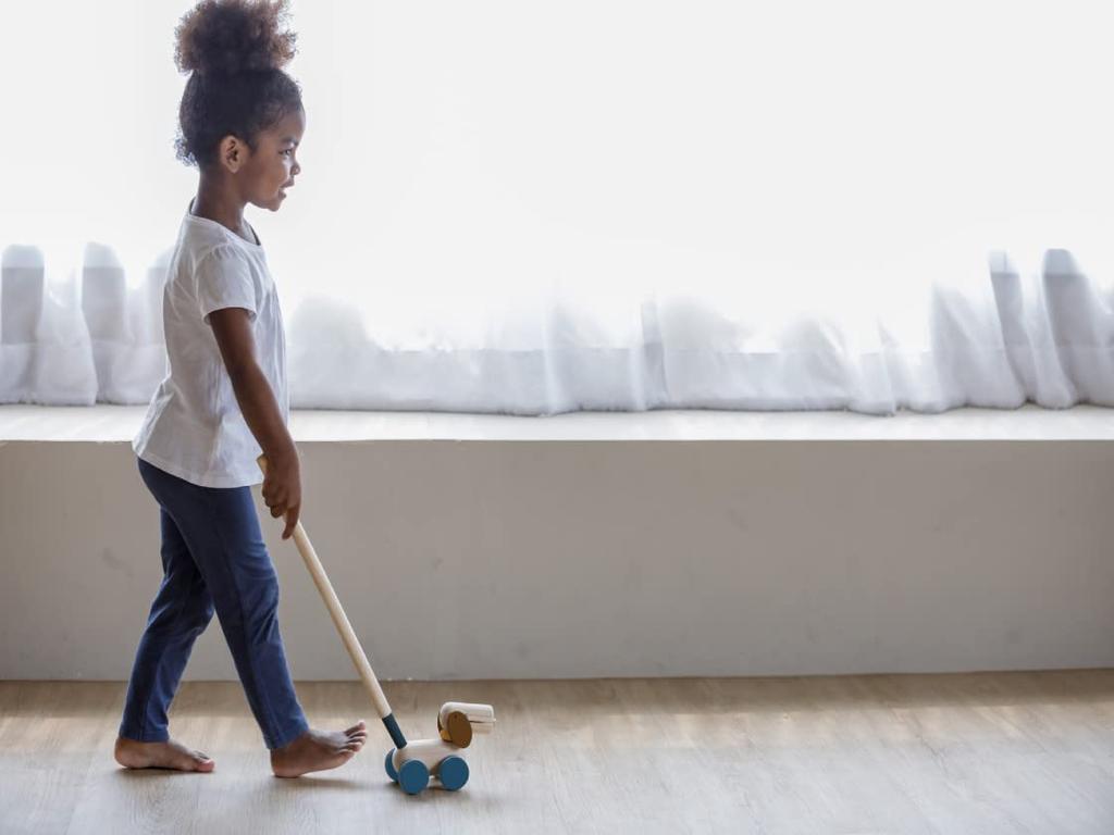 PLANTOYS JAPAN Pull & Push Puppy 5724