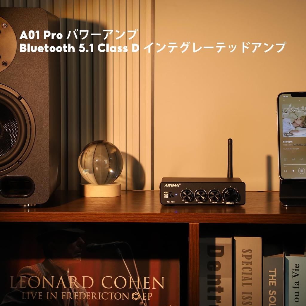 AIYIMA A01 Pro 100W x 2 Amplifier Bluetooth Class D Integrated Amplifier TPA3116 Channel Power Amplifier Receiver with AUX Output DC 24V Power Adapter