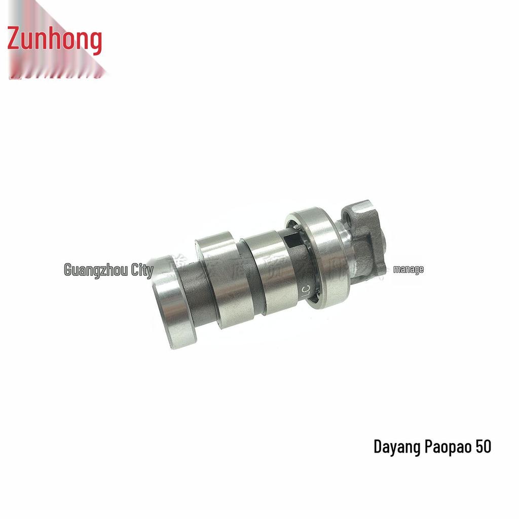 Motorcycle Camshaft for Dayang Paopao 50