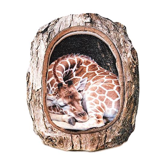 Tree Hole Animal Refrigerator Magnet Wooden Animal Fridge Magnet Home Office Kitchen Cabinet Locker Whiteboard Decoration