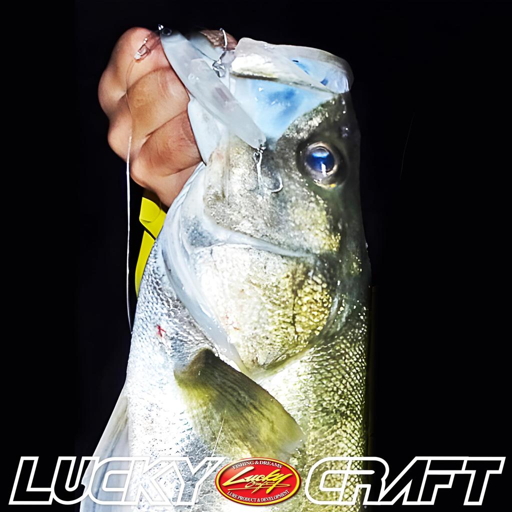 LUCKY CRAFT Wonder 80 for sea bass (0580 millet)