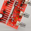 DC12v Car Diy Stereo Dual Channel Amplifier Board with Silver Plated Knobs 50Wx2 High Power And Advanced Chip 13135
