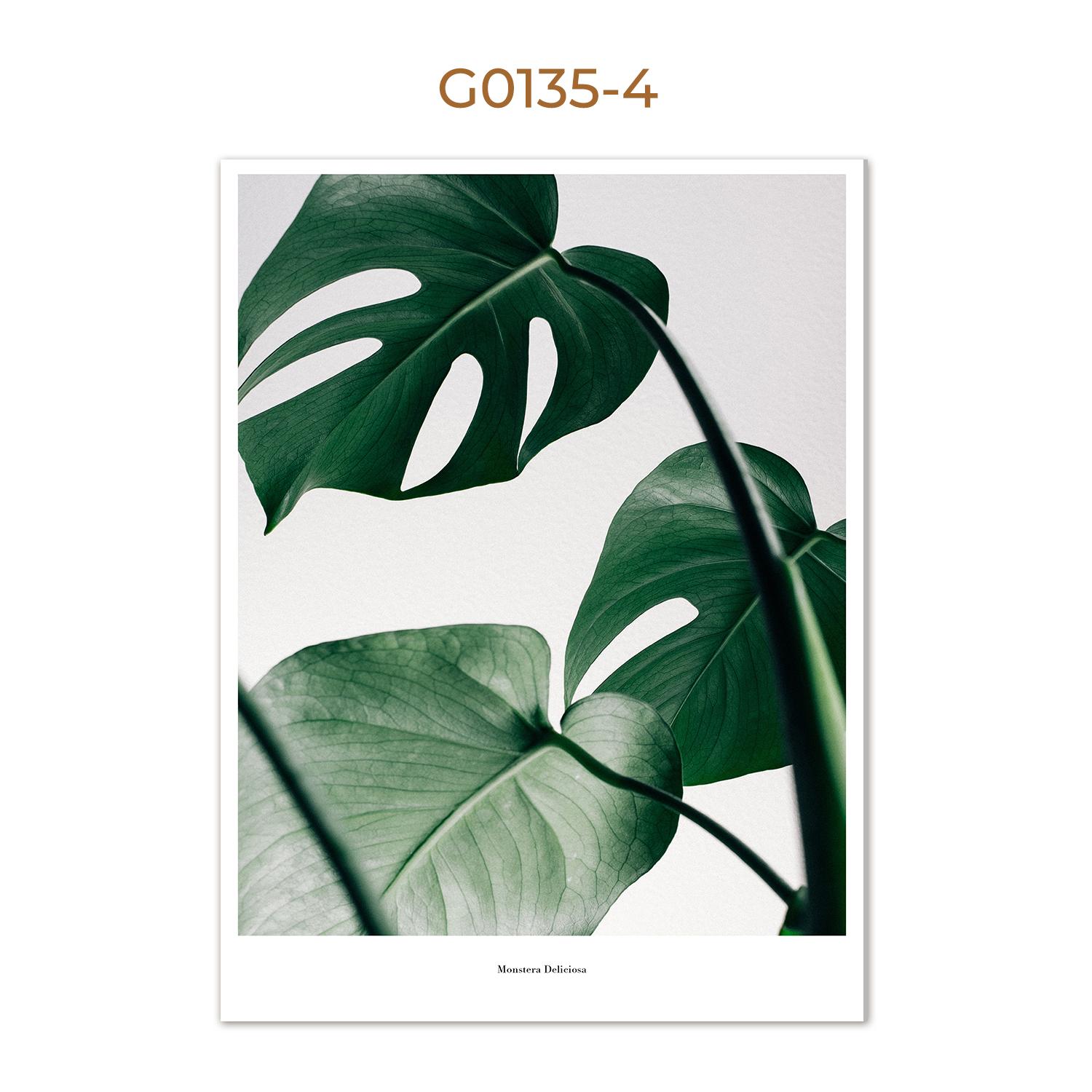 

Скандинавские зеленые растения, холст, картины, принты, листья, ананас, настенные художественные цитаты, украшения, плакаты, фотографии для интерьера, домашнего декора 21x30cm No Framed