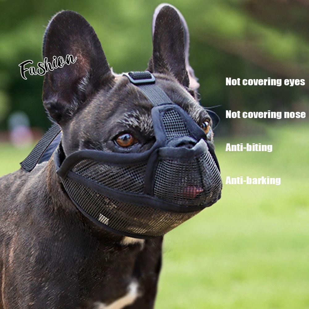 

Prevent Accidental Ingestion Dog Anti-biting Anti-barking Mask Walking The Dog Red-XXS