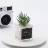 1 PC Simulation Mini Glass Flocked Succulent Potted Planter, Home Living Room Desk Office Ornament, Holiday Gift