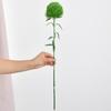 Fake Dianthus Artificial Greenery Stem Realistic Dianthus Trick Plant for Home Kitchen Wedding Courtyard Decoration