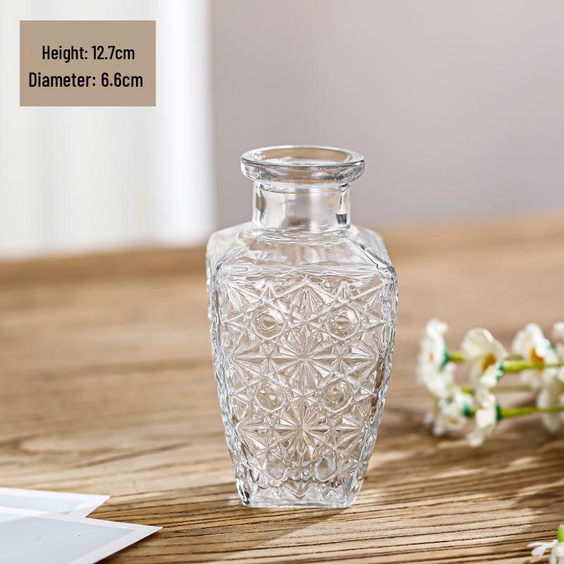 Small French Retro Glass Vase for Flowers and Hydroponics