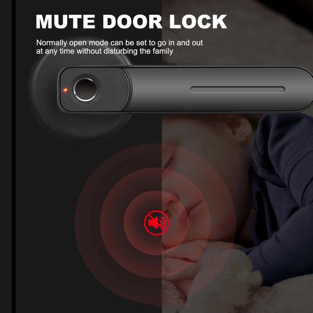 Schwarzes Fingerabdruck-Türschloss Keyless Entry Sicher Zuhause Biometrisches Fingerabdruck Elektrischer Griff Türschloss Smart Home Türschloss