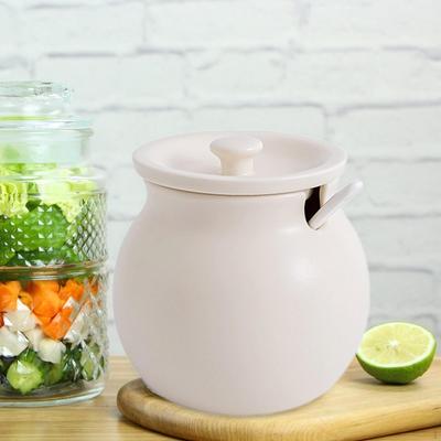 Elegant Ceramic Kitchen Canister Set with Spoon - Stylish Seasoning Storage Jar