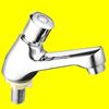 Public Sink Press-Type Timed Faucet