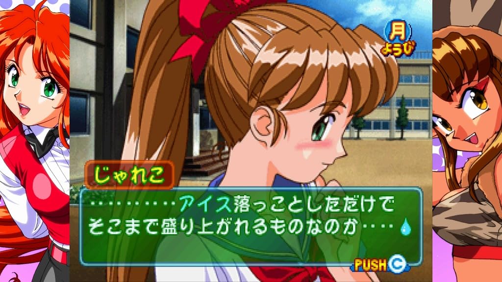 Idol Janshi S Tribute for PC Special Edition Su-chi-Pai