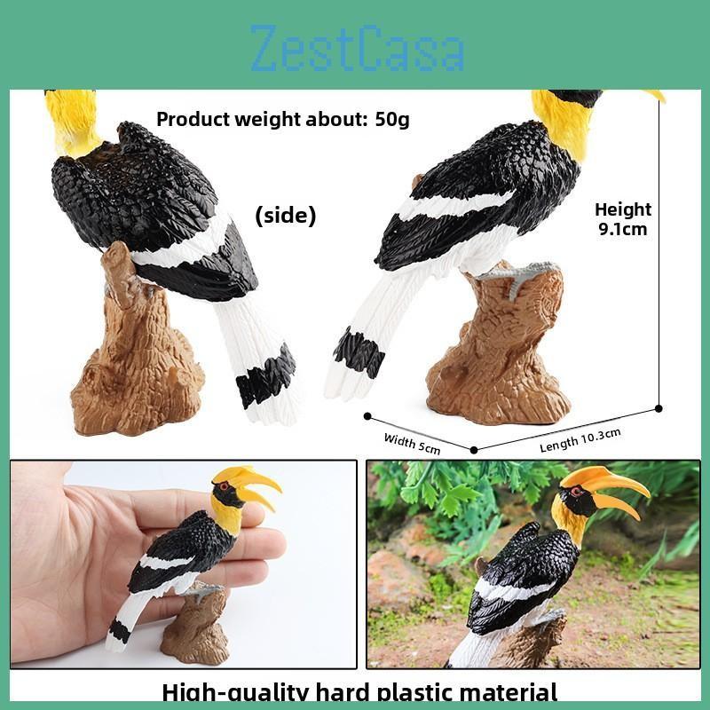 Animal Model Wildlife Solid Plastic Parrot And Hornbill Figures For Gift Kids