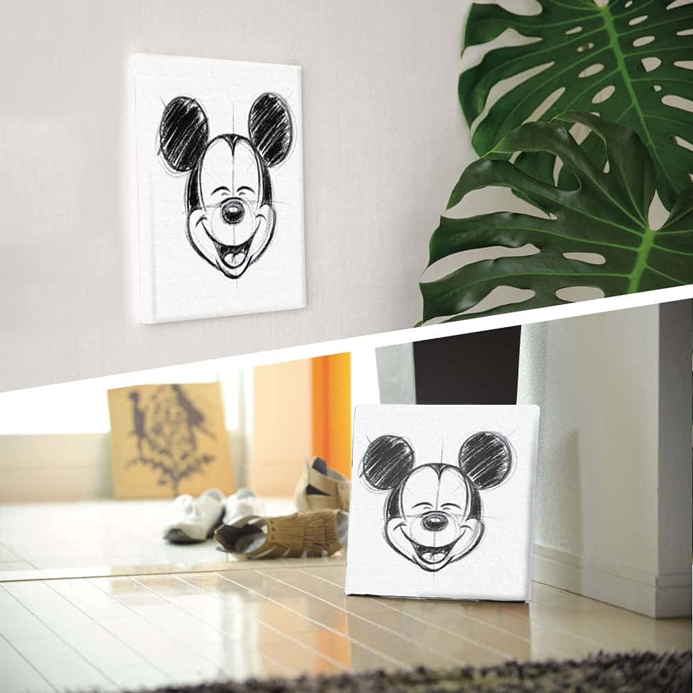 Disney Poster Mickey Mouse 30cm x 30cm Made in Japan dsn-0145