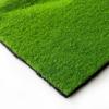 Creative Micro Landscape Decorative Moss & Turf Eco-Bottle
