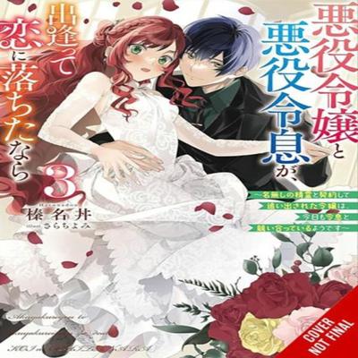 If the Villainess and Villain Met and Fell In Love Vol. 3 Light Novel by Yomi Sarachi Paperback Book 9798855402056