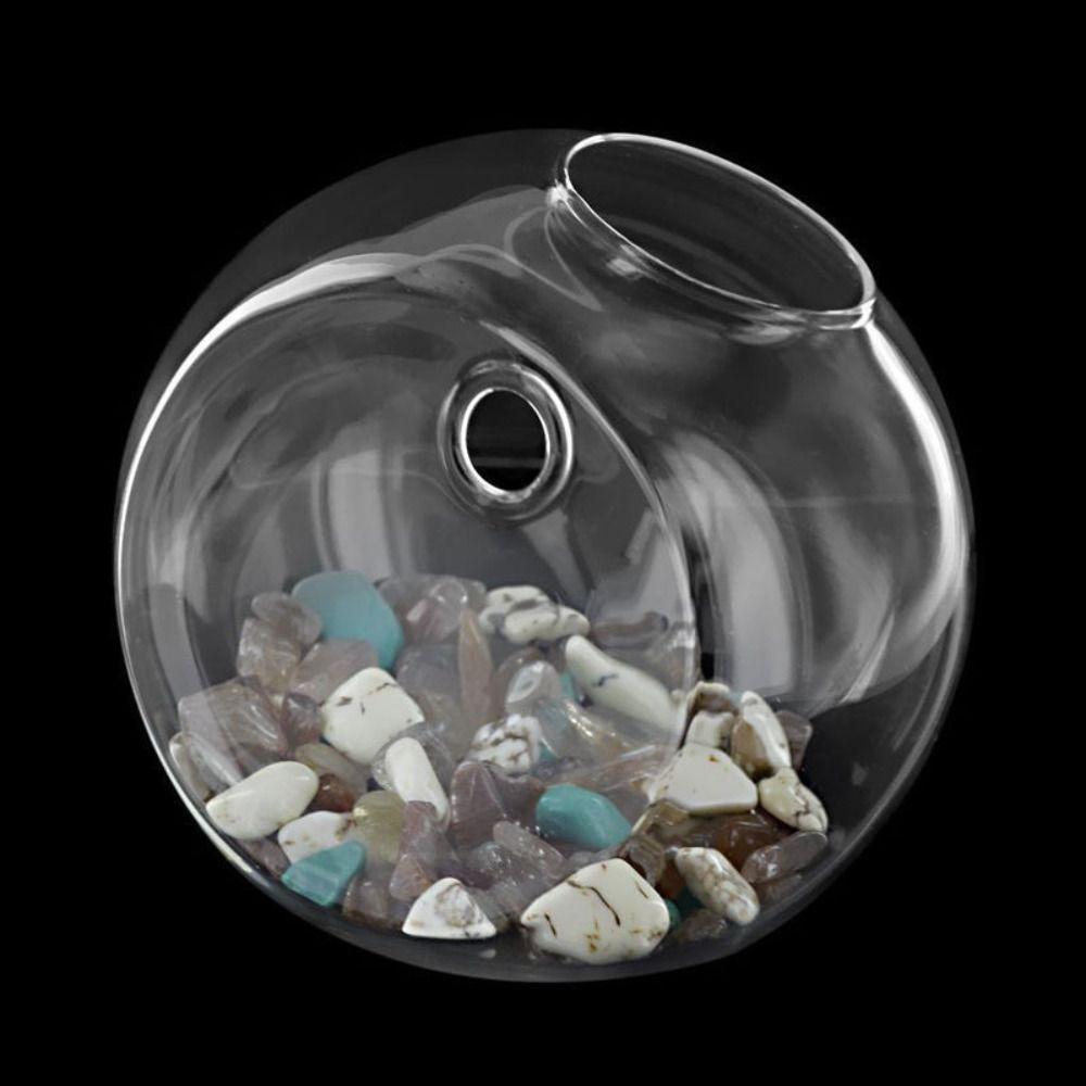 Plant Container Wall Mounted Vase Plants Holder Flower Arrangement Bottle  Plants Flowers